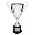 CMC300 Metal Cup Trophy